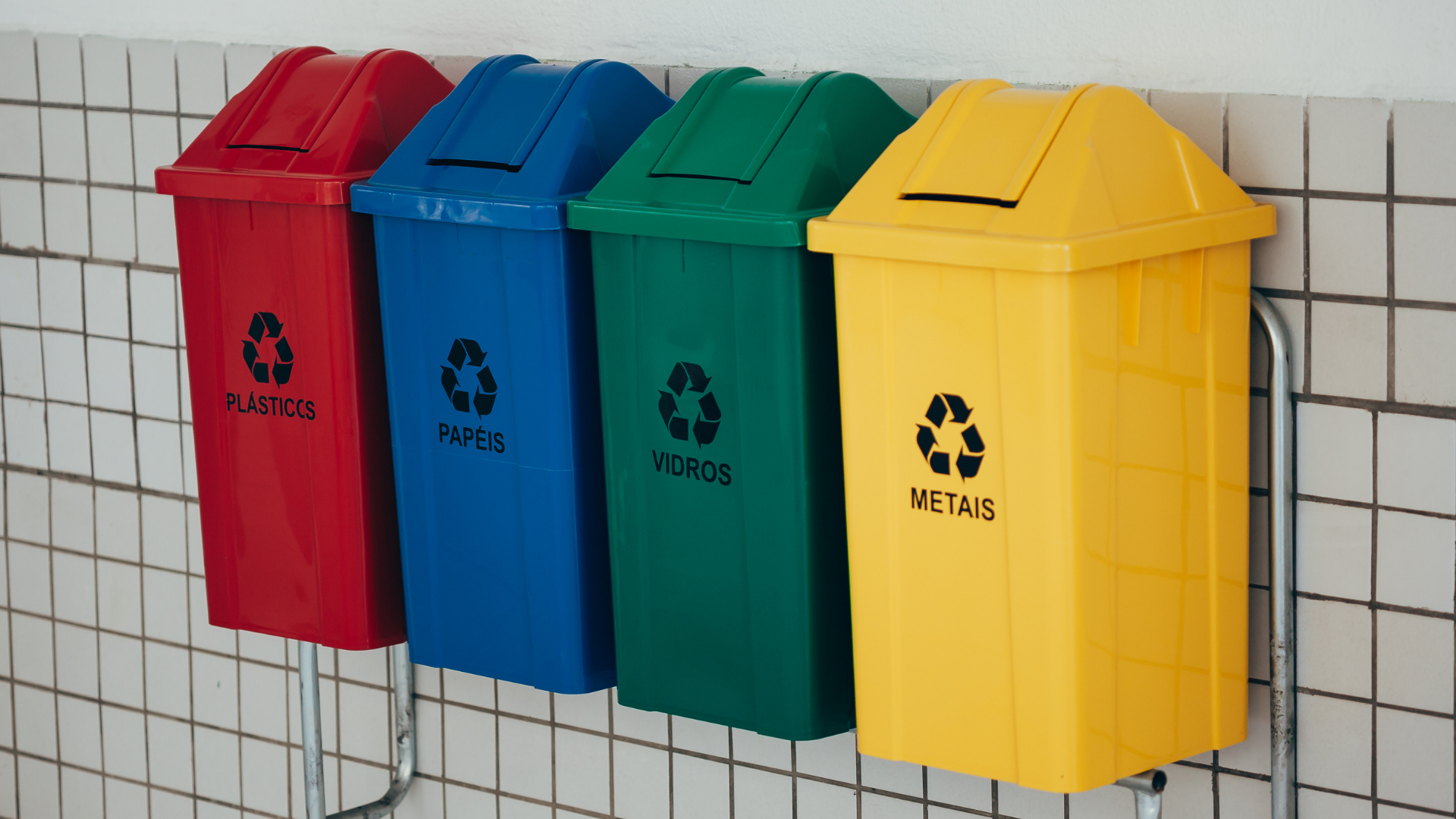 Imagem em destaque para o artigo: O que reciclar: o papel da coleta seletiva