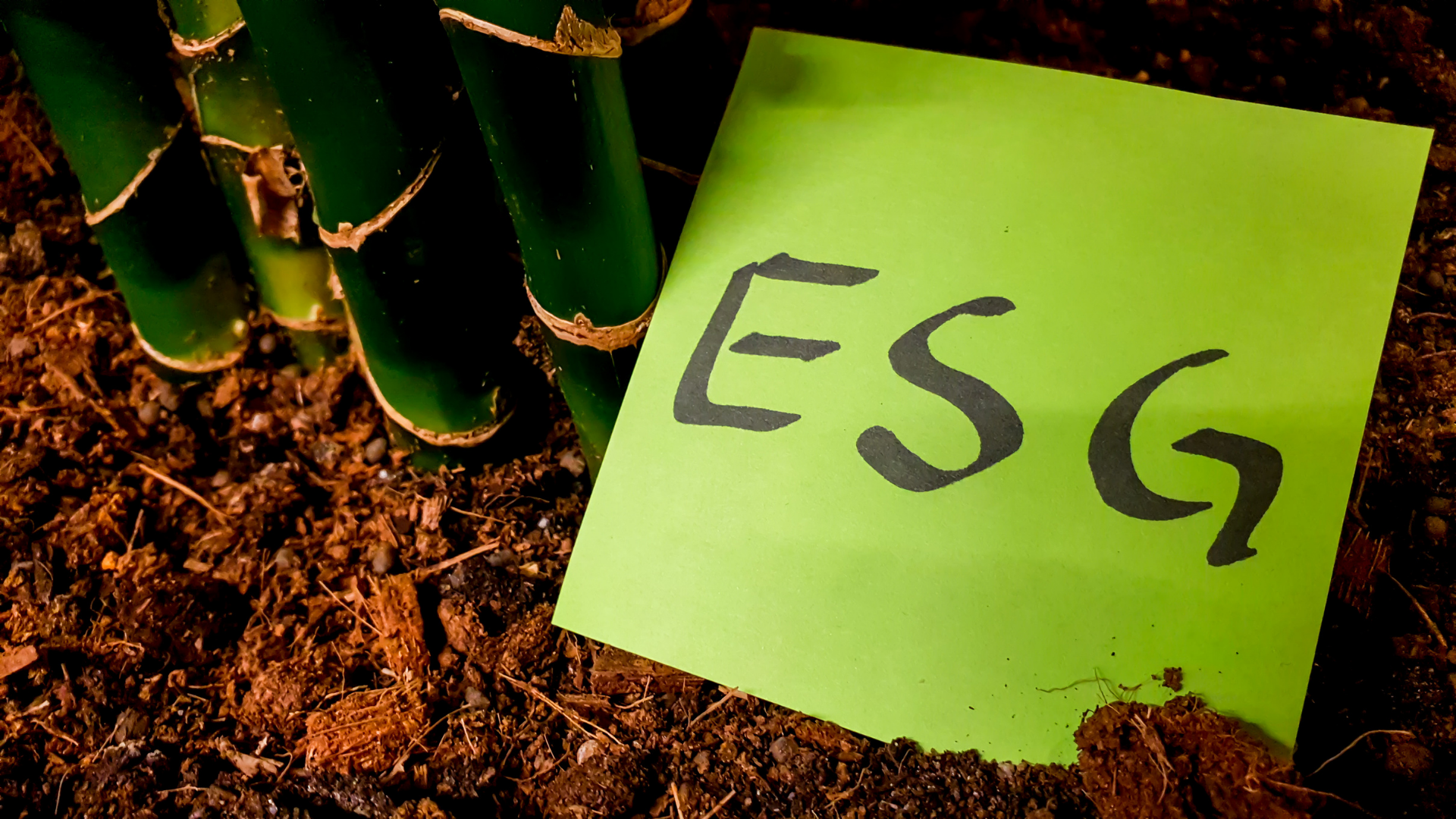 Imagem em destaque para o artigo: Entenda de uma vez por todas o que é ESG